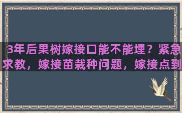 3年后果树嫁接口能不能埋？紧急求教，嫁接苗栽种问题，嫁接点到底该不该埋土里