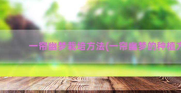 一帘幽梦栽培方法(一帘幽梦的种植方法)