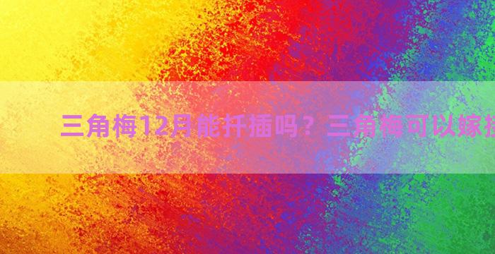 三角梅12月能扦插吗？三角梅可以嫁接哪些树