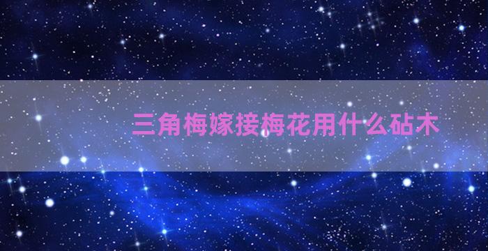 三角梅嫁接梅花用什么砧木