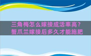 三角梅怎么嫁接成活率高？蟹爪兰嫁接后多久才能施肥