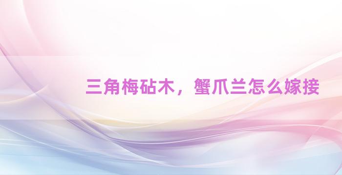 三角梅砧木，蟹爪兰怎么嫁接