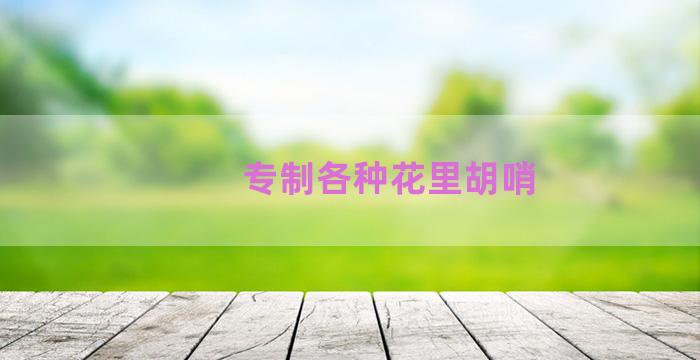 专制各种花里胡哨