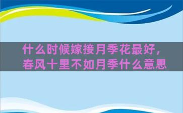 什么时候嫁接月季花最好，春风十里不如月季什么意思