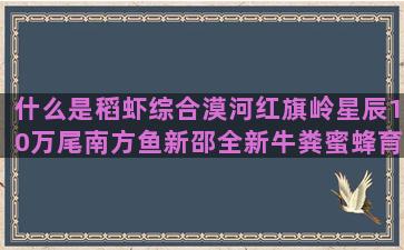 什么是稻虾综合漠河红旗岭星辰10万尾南方鱼新邵全新牛粪蜜蜂育种养殖需要的资质