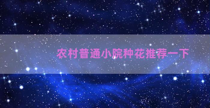 农村普通小院种花推荐一下