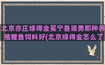 北京亦庄绿得金冕宁县琼勇那种养殖鲤鱼饲料好(北京绿得金怎么了)