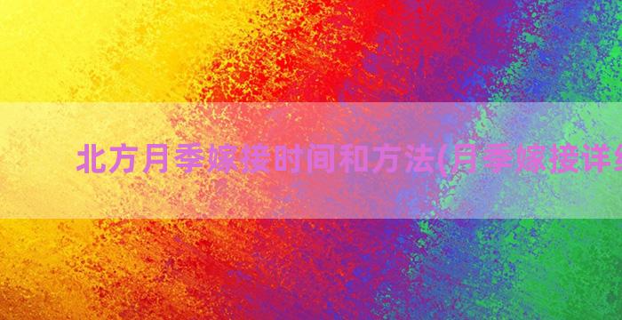 北方月季嫁接时间和方法(月季嫁接详细教程)