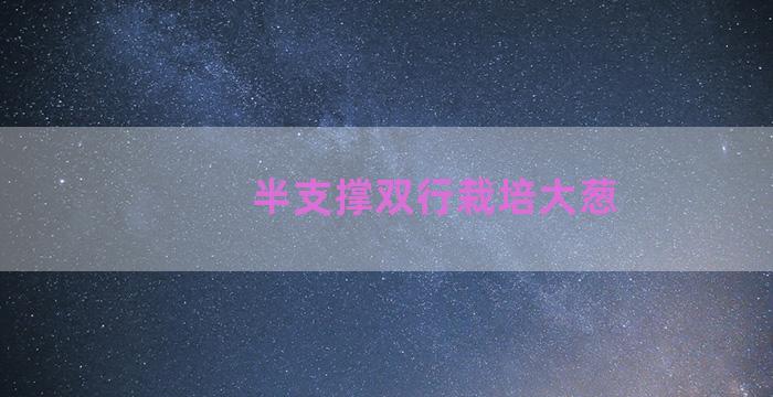 半支撑双行栽培大葱