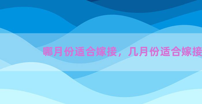 哪月份适合嫁接，几月份适合嫁接