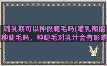 哺乳期可以种假睫毛吗(哺乳期能种睫毛吗，种睫毛对乳汁会有影响吗)