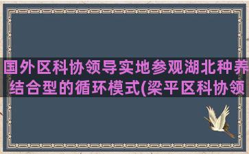 国外区科协领导实地参观湖北种养结合型的循环模式(梁平区科协领导)