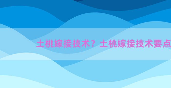 土桃嫁接技术？土桃嫁接技术要点