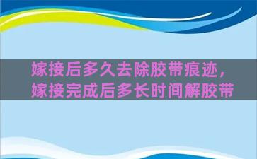 嫁接后多久去除胶带痕迹，嫁接完成后多长时间解胶带