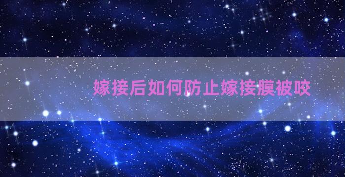 嫁接后如何防止嫁接膜被咬