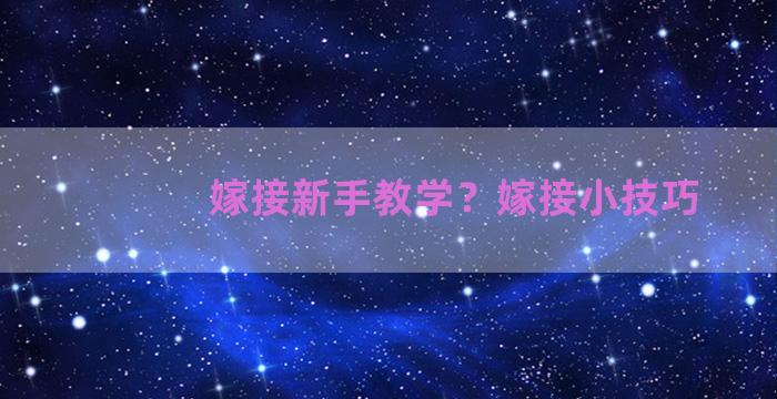 嫁接新手教学？嫁接小技巧