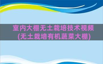 室内大棚无土栽培技术视频(无土栽培有机蔬菜大棚)