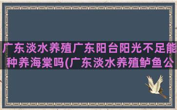 广东淡水养殖广东阳台阳光不足能种养海棠吗(广东淡水养殖鲈鱼公司)