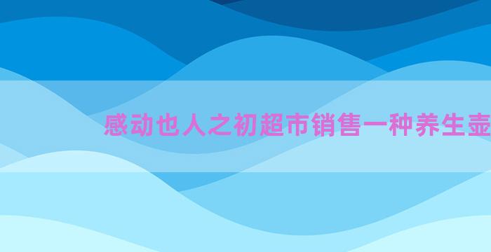 感动也人之初超市销售一种养生壶