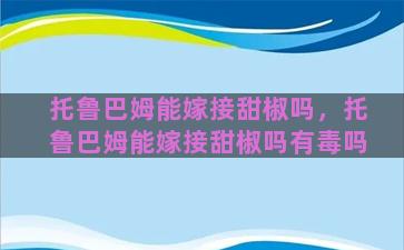 托鲁巴姆能嫁接甜椒吗，托鲁巴姆能嫁接甜椒吗有毒吗