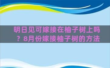 明日见可嫁接在柚子树上吗？8月份嫁接柚子树的方法