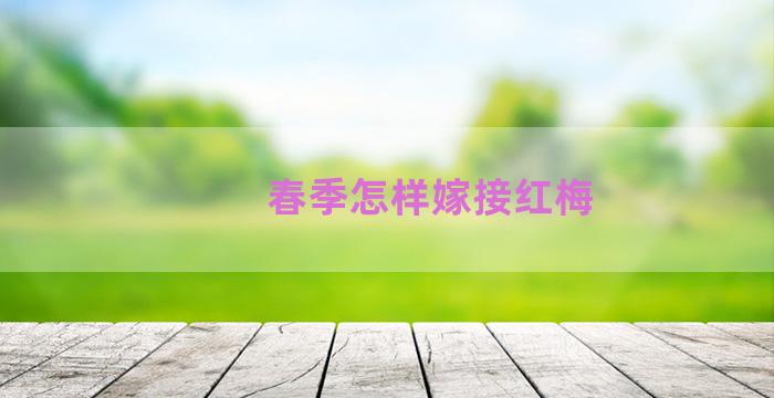 春季怎样嫁接红梅