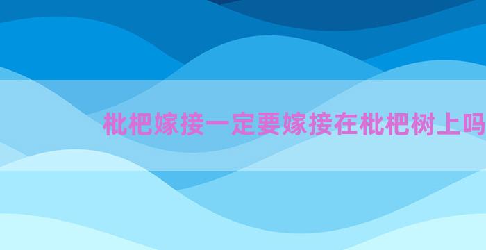 枇杷嫁接一定要嫁接在枇杷树上吗