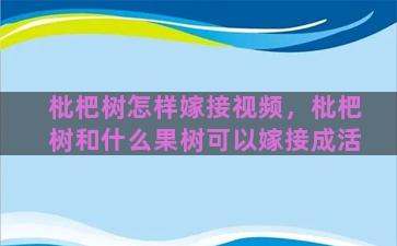 枇杷树怎样嫁接视频，枇杷树和什么果树可以嫁接成活