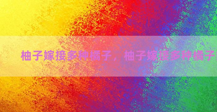 柚子嫁接多种橘子，柚子嫁接多种橘子能结果吗