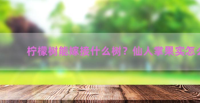 柠檬树能嫁接什么树？仙人掌果实怎么冲泡