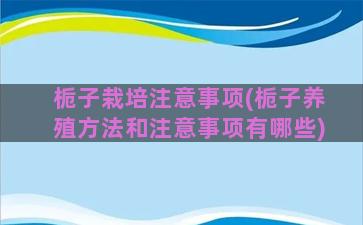 栀子栽培注意事项(栀子养殖方法和注意事项有哪些)