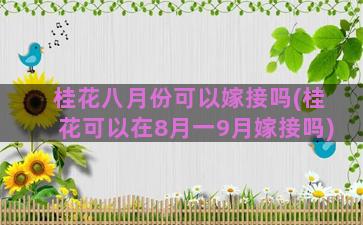 桂花八月份可以嫁接吗(桂花可以在8月一9月嫁接吗)