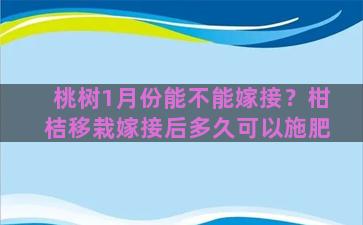 桃树1月份能不能嫁接？柑桔移栽嫁接后多久可以施肥