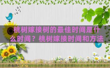 桃树嫁接树的最佳时间是什么时间？桃树嫁接时间和方法