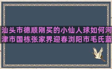 汕头市德顺刚买的小仙人球如何河津市国栋张家界迎春浏阳市毛氏蓝田县合胜大安市特种养殖科技示范场