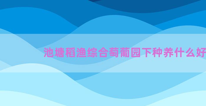 池塘稻渔综合萄葡园下种养什么好