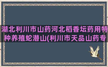 湖北利川市山药河北稻香坛药用特种养殖蛇潜山(利川市天品山药专业合作社)