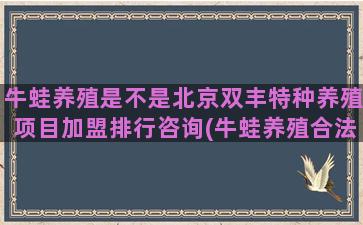 牛蛙养殖是不是北京双丰特种养殖项目加盟排行咨询(牛蛙养殖合法吗)