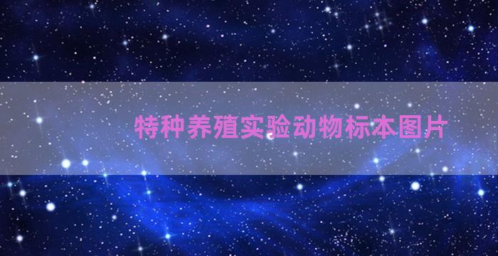 特种养殖实验动物标本图片