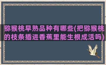 猕猴桃早熟品种有哪些(把猕猴桃的枝条插进香蕉里能生根成活吗)