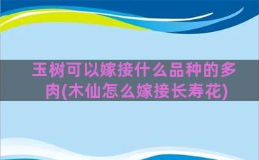 玉树可以嫁接什么品种的多肉(木仙怎么嫁接长寿花)