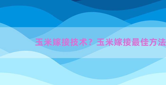 玉米嫁接技术？玉米嫁接最佳方法