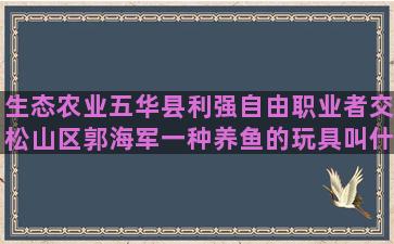 生态农业五华县利强自由职业者交松山区郭海军一种养鱼的玩具叫什么名字(生态农业的利与弊)