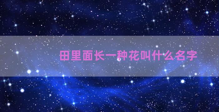 田里面长一种花叫什么名字