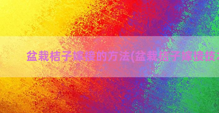 盆栽桔子嫁接的方法(盆栽桔子嫁接技术视频)