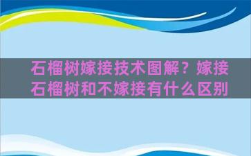 石榴树嫁接技术图解？嫁接石榴树和不嫁接有什么区别