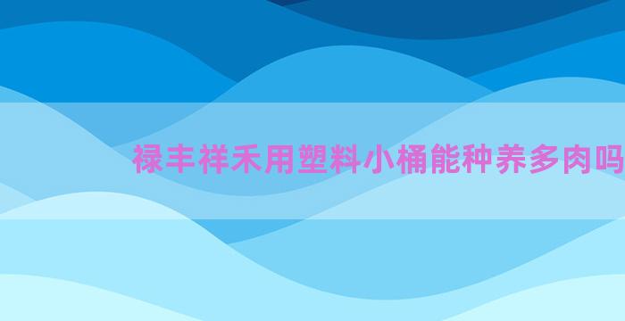 禄丰祥禾用塑料小桶能种养多肉吗