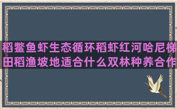 稻鳖鱼虾生态循环稻虾红河哈尼梯田稻渔坡地适合什么双林种养合作社