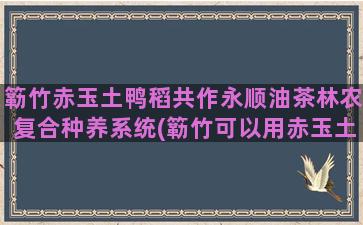 簕竹赤玉土鸭稻共作永顺油茶林农复合种养系统(簕竹可以用赤玉土吗)