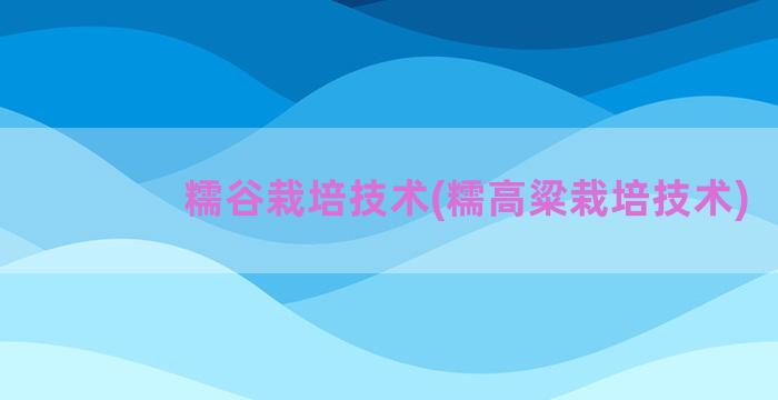 糯谷栽培技术(糯高粱栽培技术)